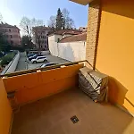 Sole *